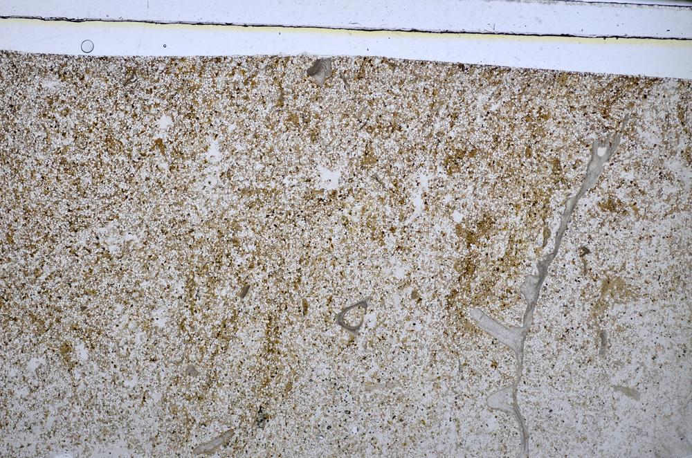 Plane Polarized, E48697