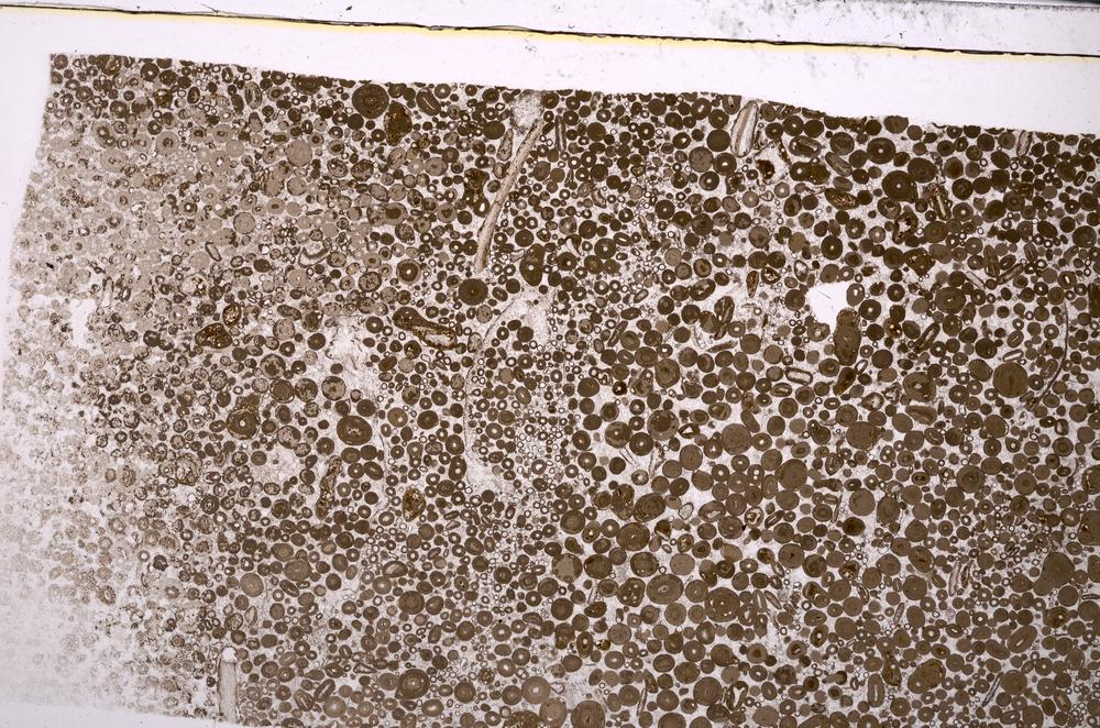 Plane Polarized, E48828