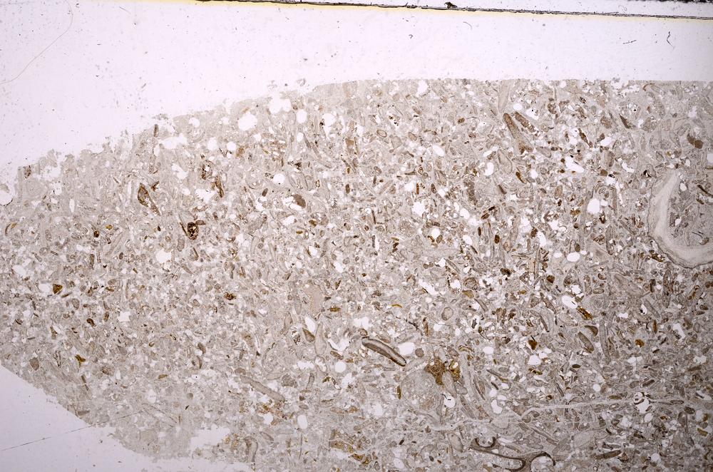 Plane Polarized, E48839