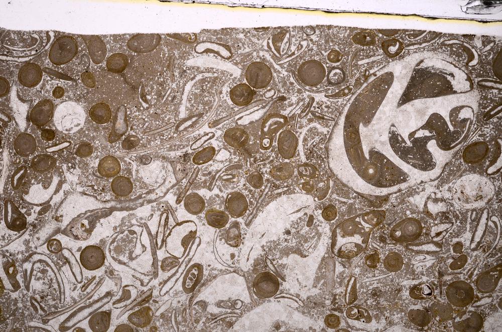 Plane Polarized, E48844