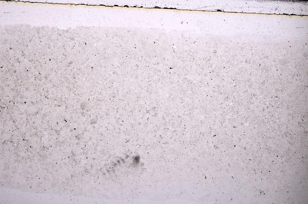 Plane Polarized, E49065
