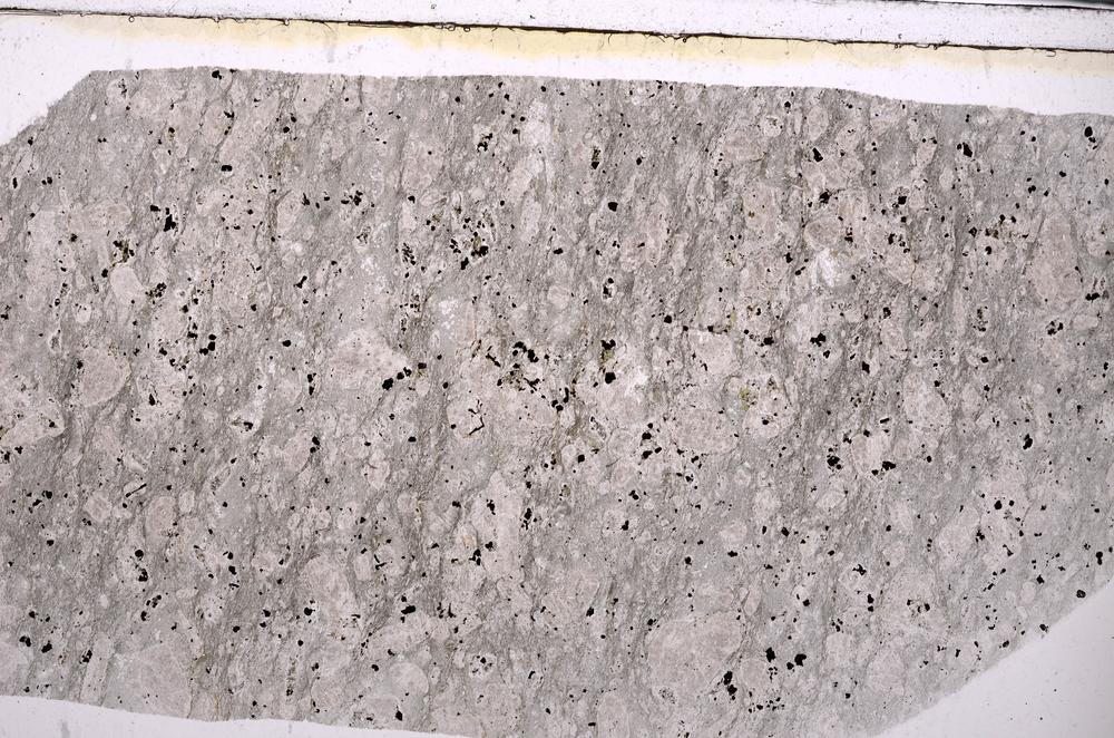 Plane Polarized, E49141