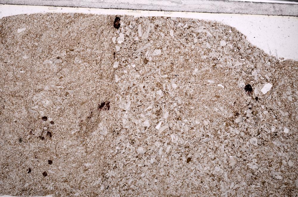 Plane Polarized, E49225