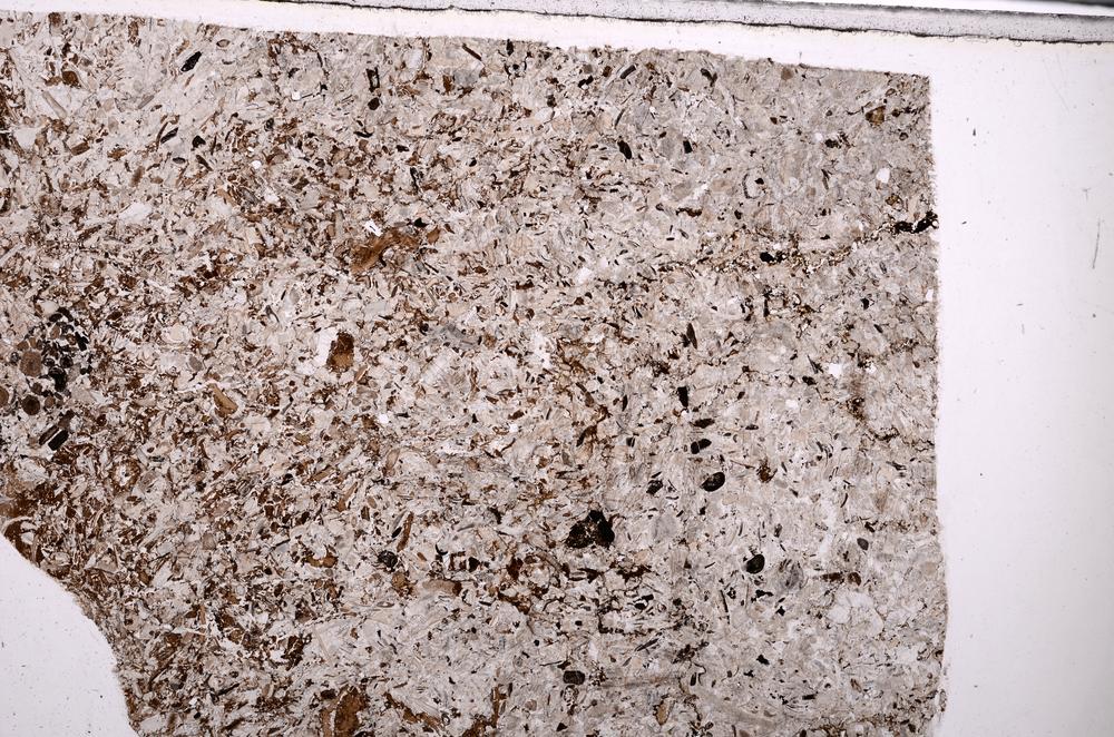 Plane Polarized, E49226