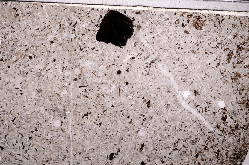 Plane Polarized, E49227