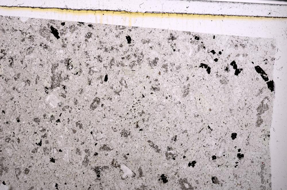 Plane Polarized, E49446