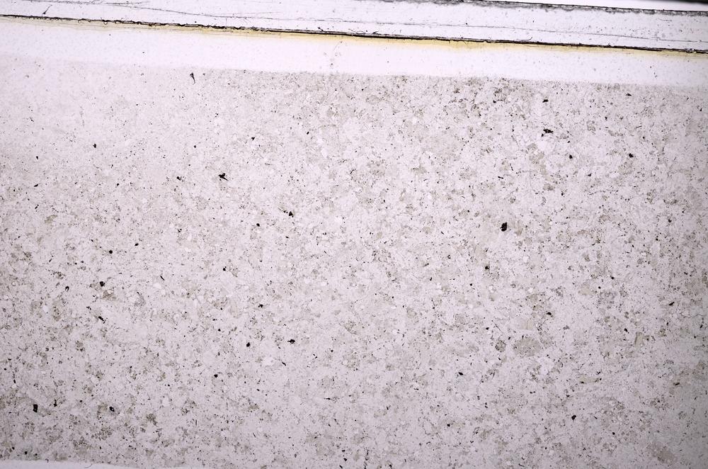 Plane Polarized, E49448