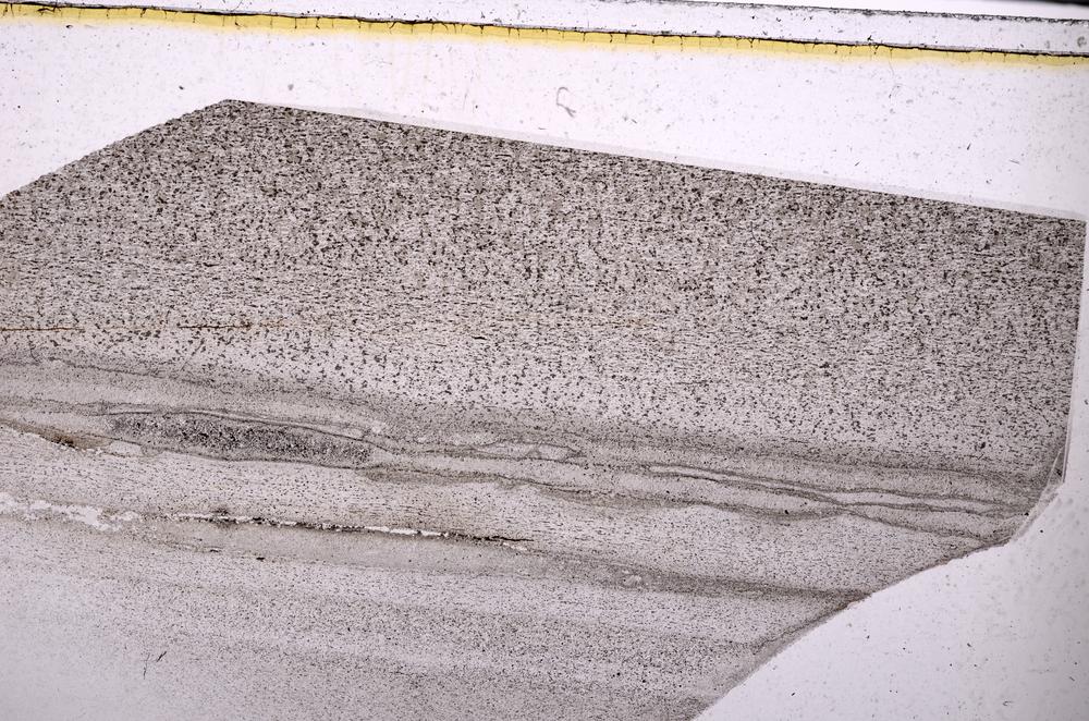 Plane Polarized, E49449