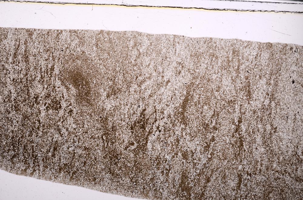 Plane Polarized, E49476