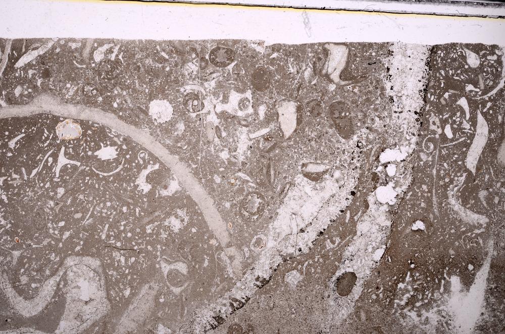 Plane Polarized, E49477