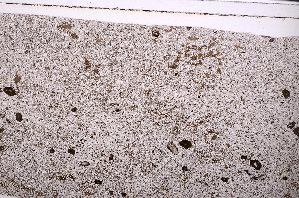 Plane Polarized, E49481