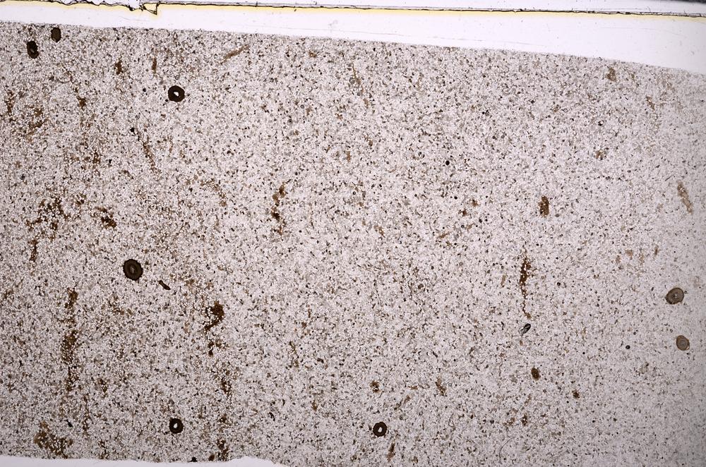 Plane Polarized, E49482