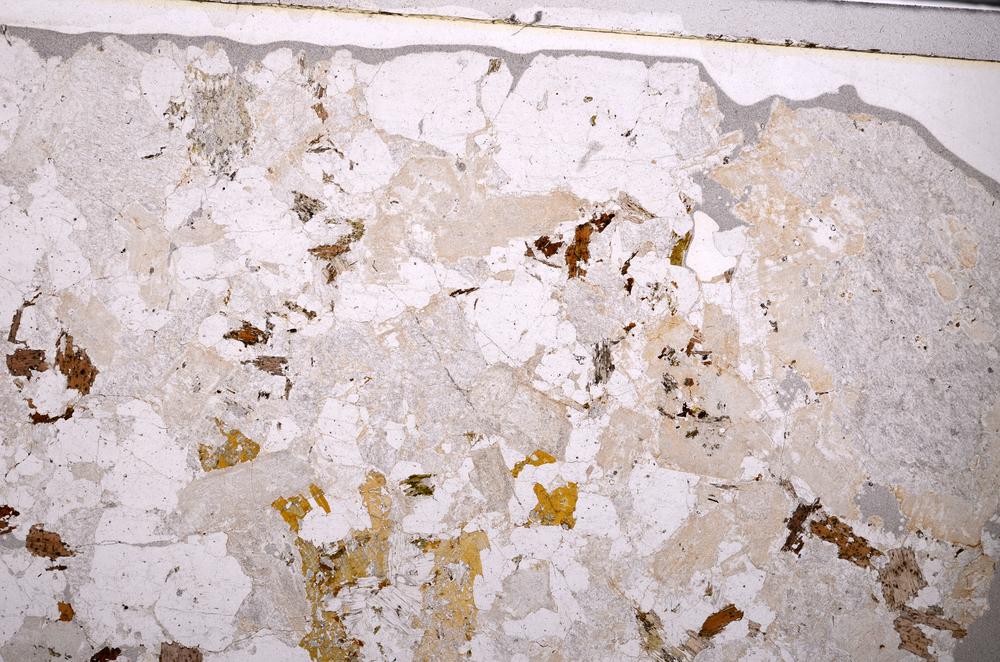 Plane Polarized, E49498/B