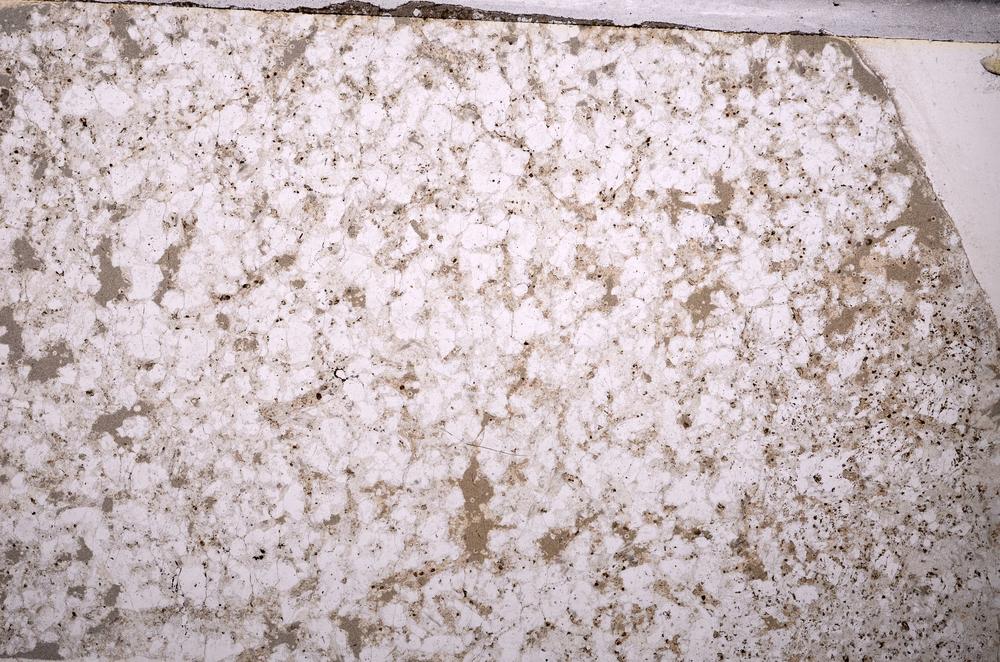 Plane Polarized, E49579/A