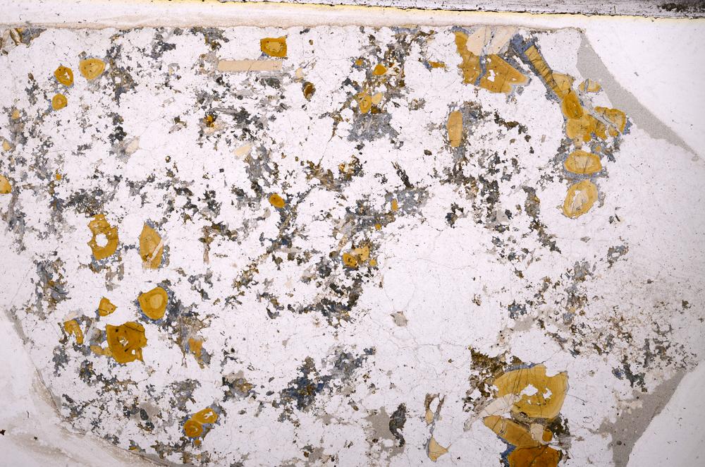 Plane Polarized, E49594/A