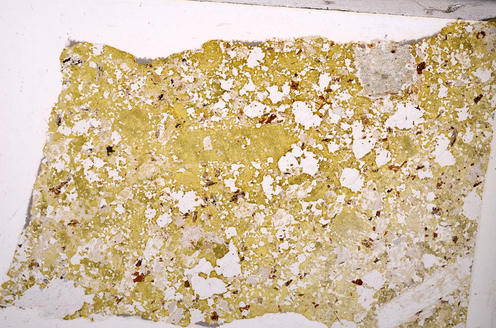 Plane Polarized, E49657/A