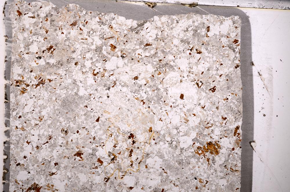 Plane Polarized, E49657/B