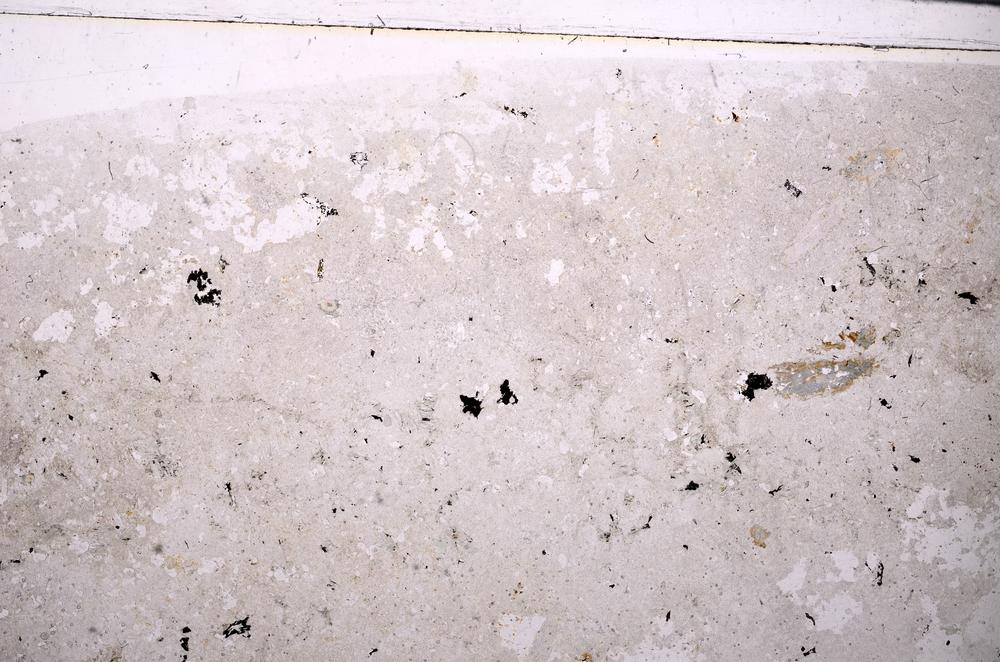 Plane Polarized, E49658