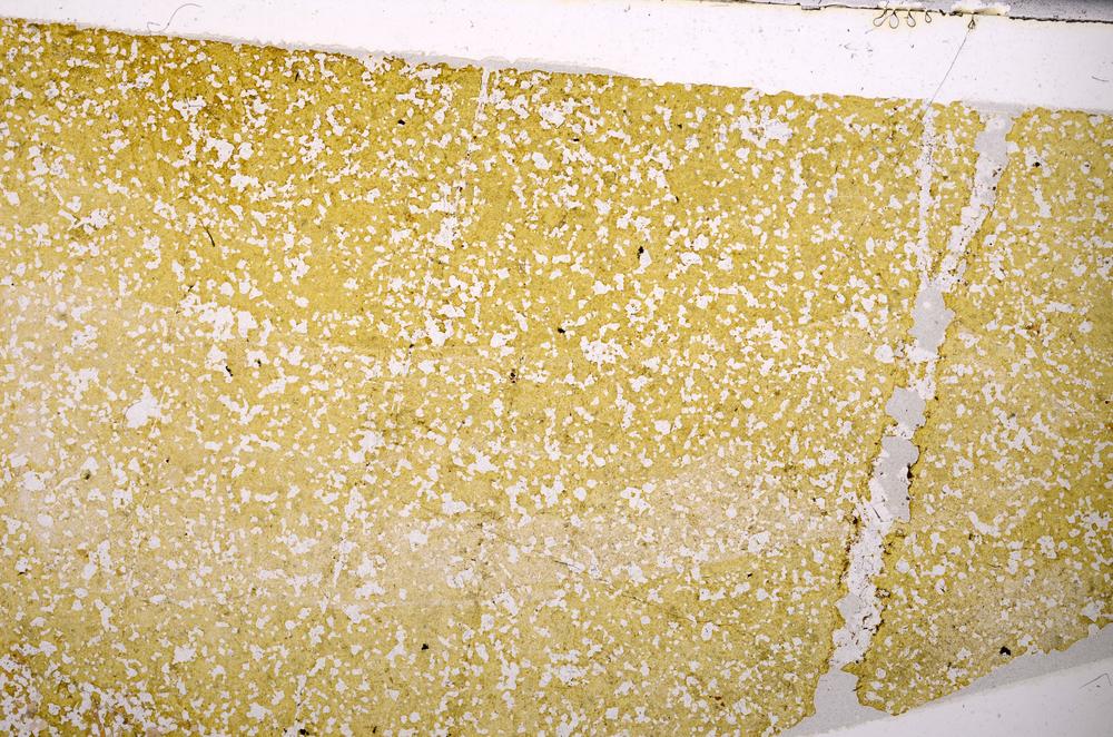 Plane Polarized, E49660/A