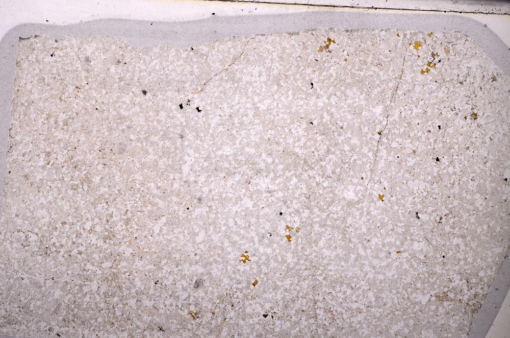 Plane Polarized, E49660/B