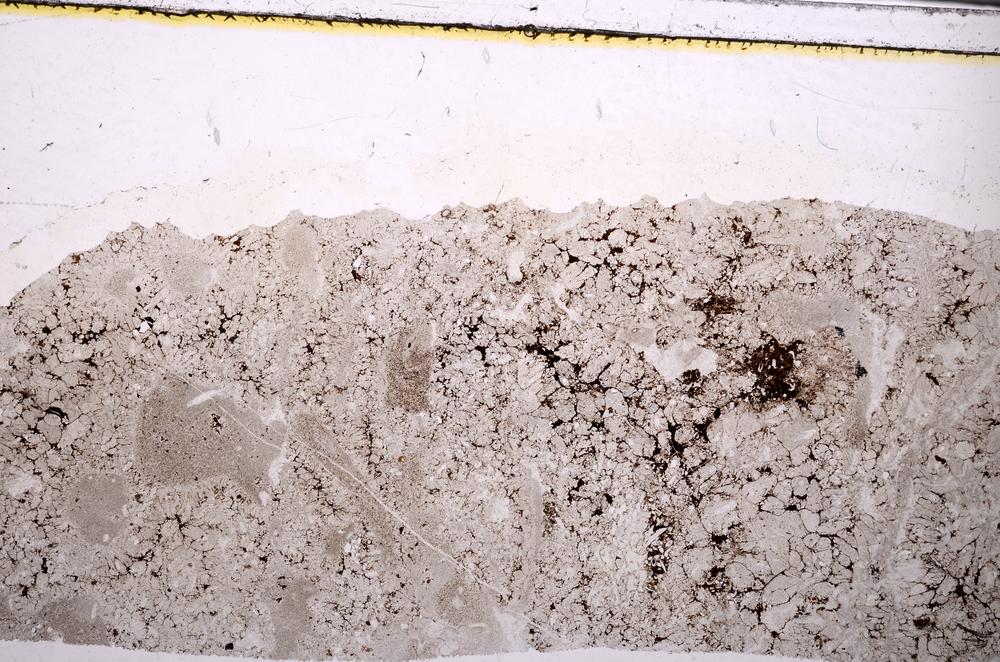 Plane Polarized, E49696/A