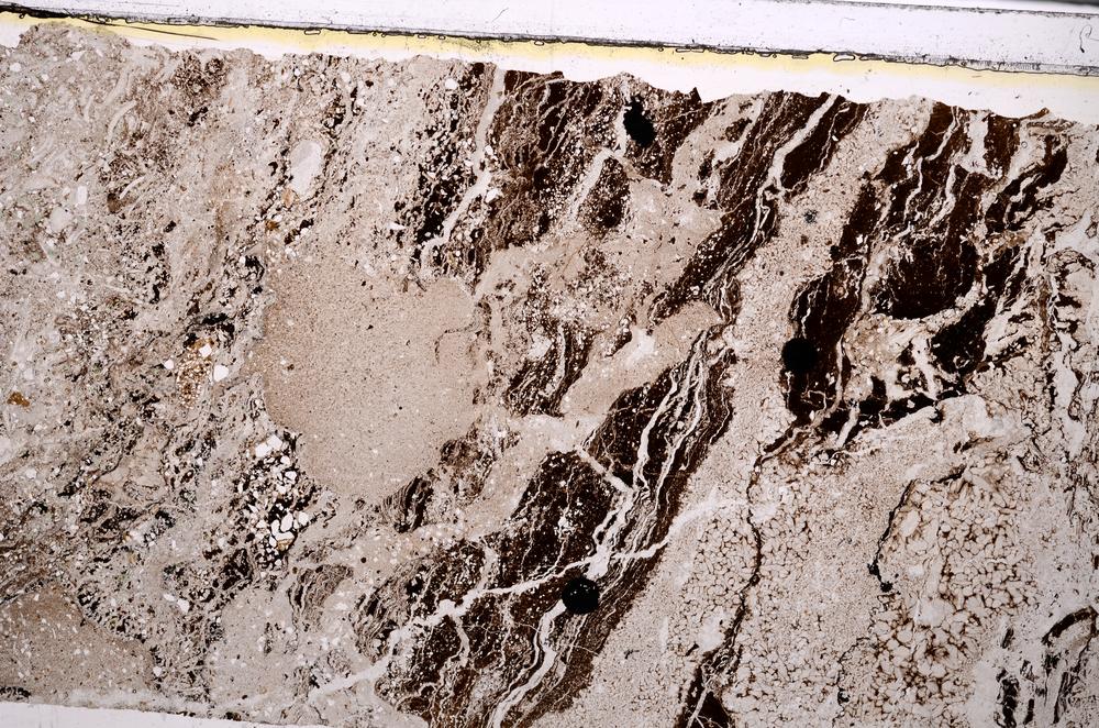 Plane Polarized, E49696/B