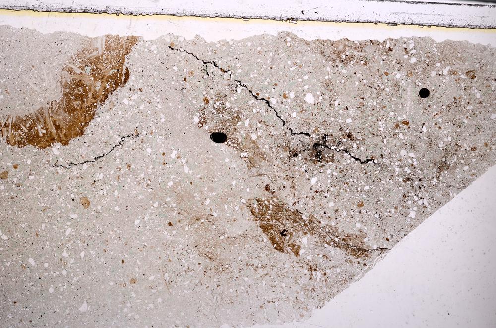 Plane Polarized, E49696/C