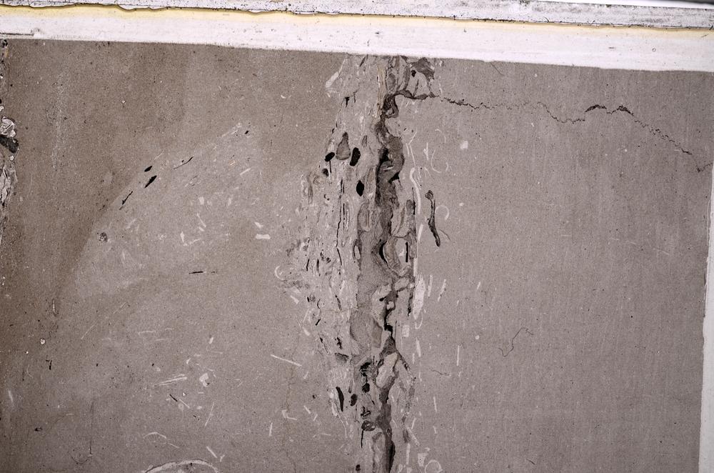 Plane Polarized, E49815