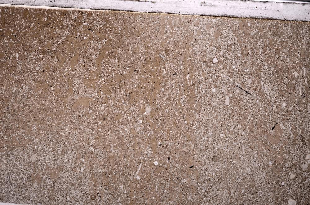 Plane Polarized, E49838