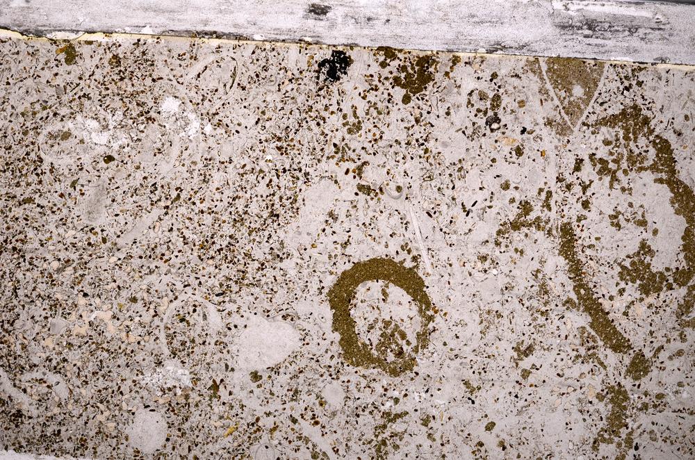 Plane Polarized, E49841