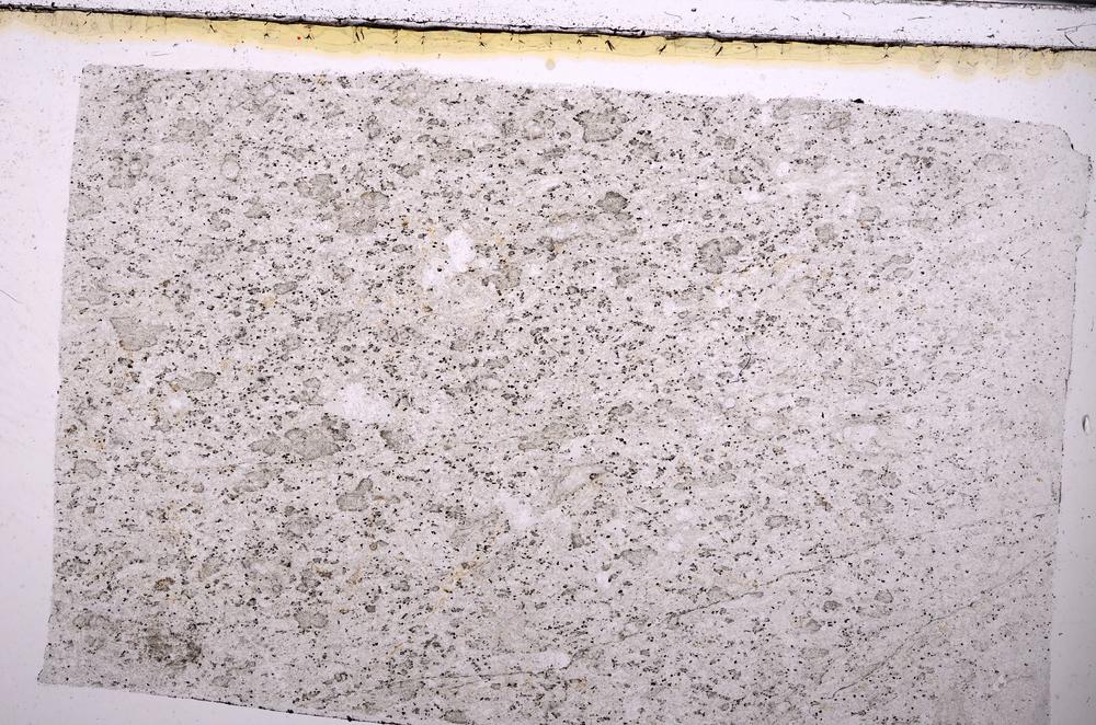 Plane Polarized, E49883