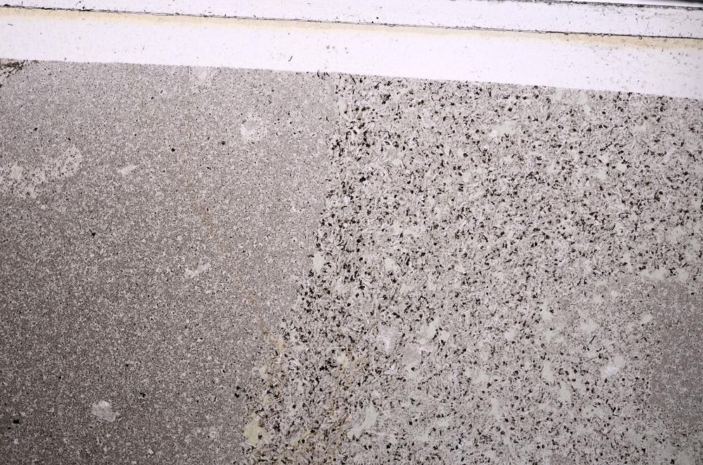 Plane Polarized, E49927