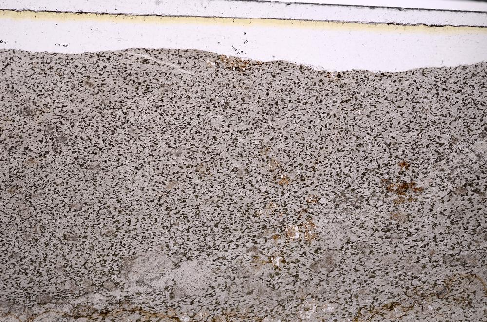 Plane Polarized, E49929