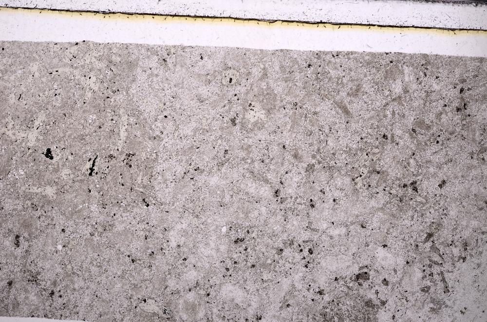 Plane Polarized, E49936