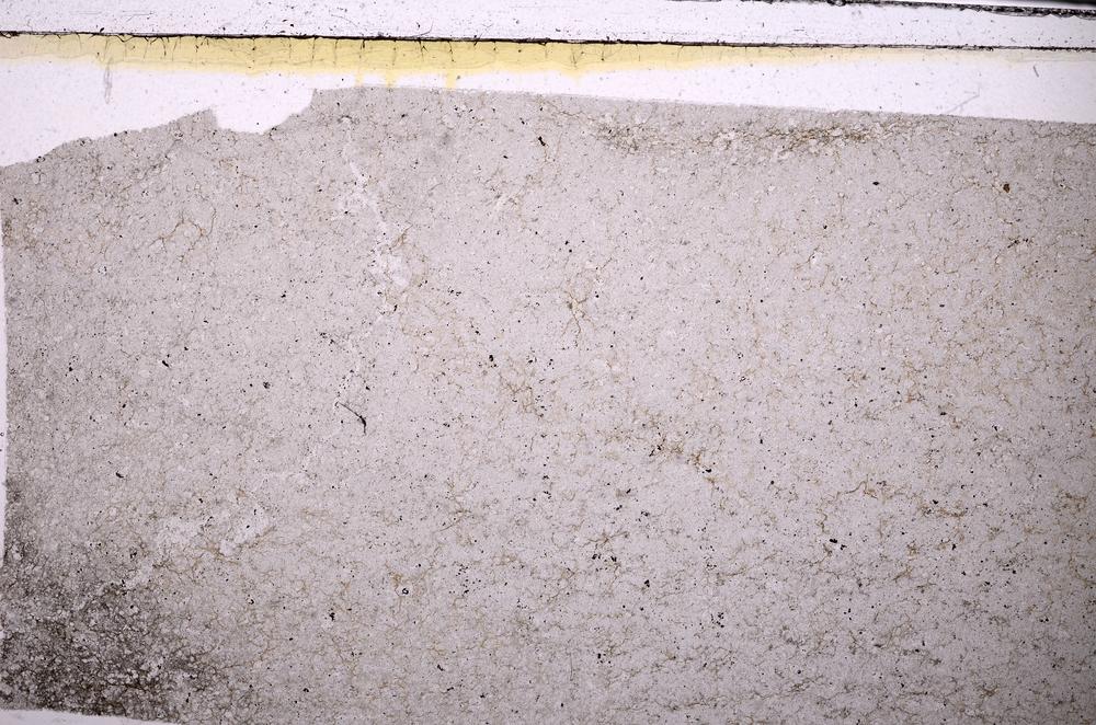 Plane Polarized, E49975