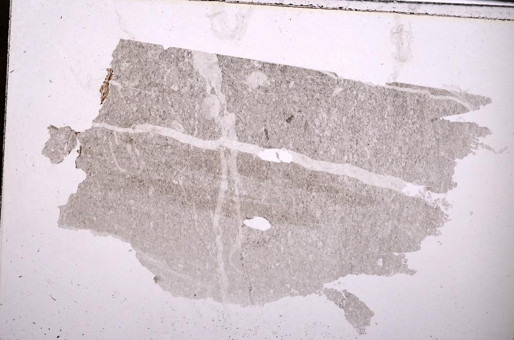 Plane Polarized, E50124