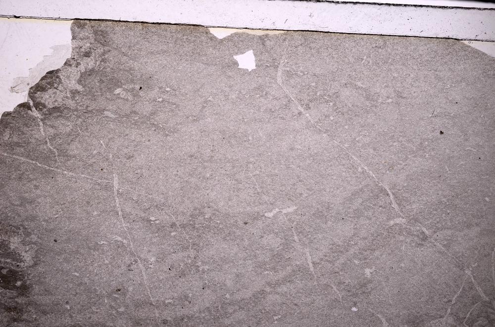 Plane Polarized, E50131