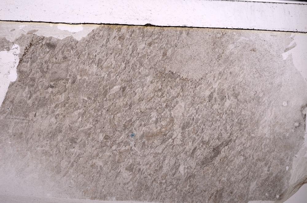 Plane Polarized, E50132