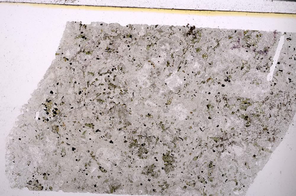 Plane Polarized, E50156