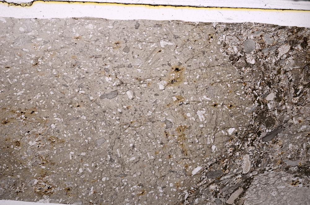 Plane Polarized, E50255