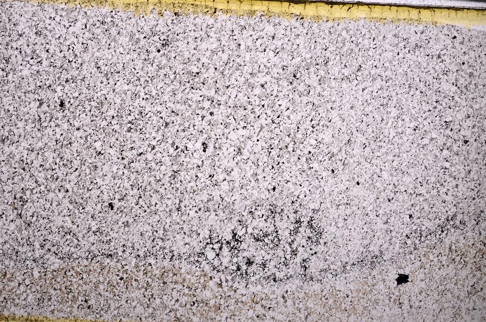 Plane Polarized, E50280