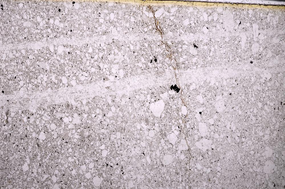 Plane Polarized, E50281