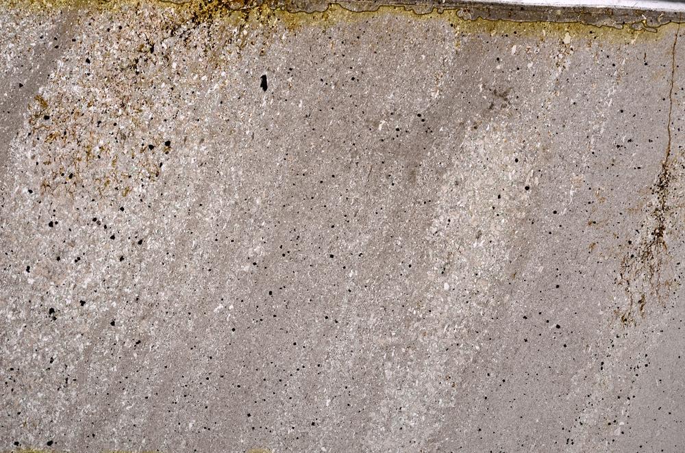 Plane Polarized, E50282