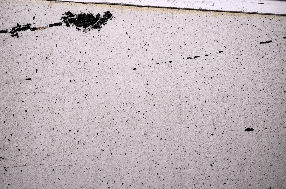 Plane Polarized, E50289