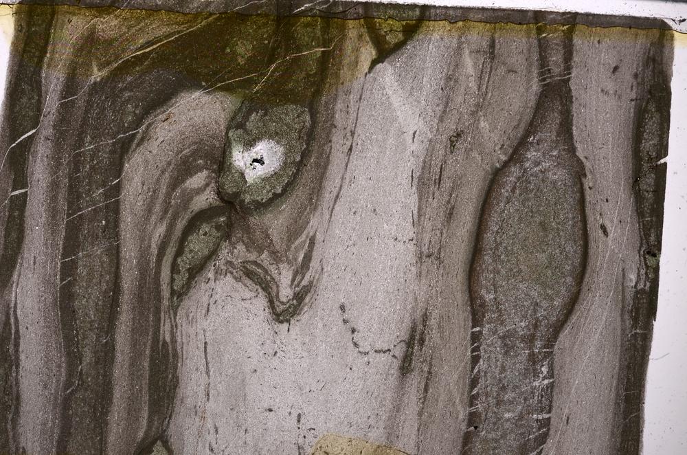 Plane Polarized, E50290