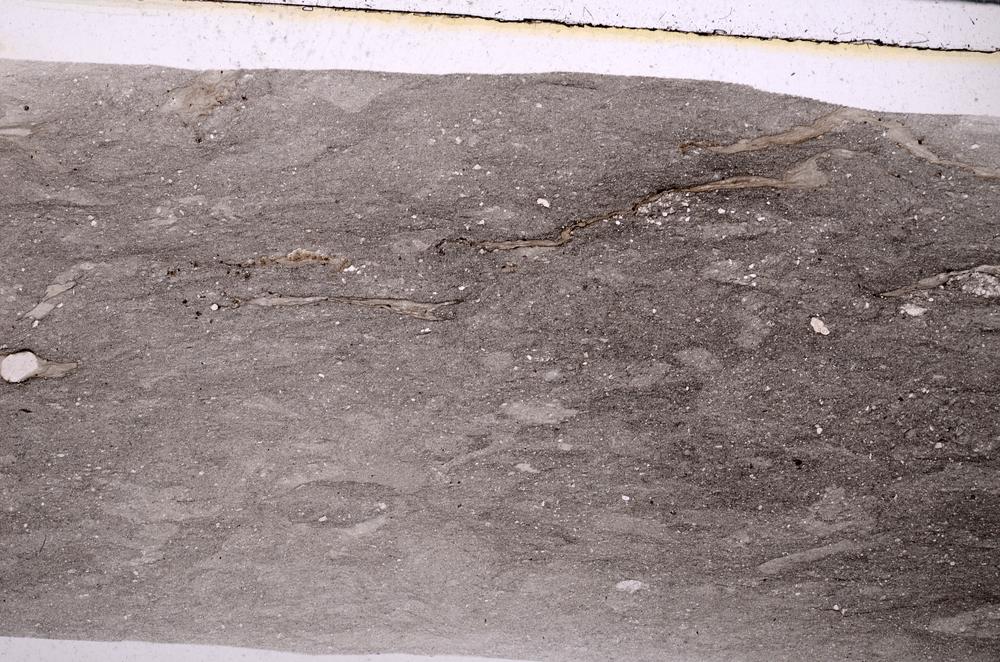 Plane Polarized, E50439/A