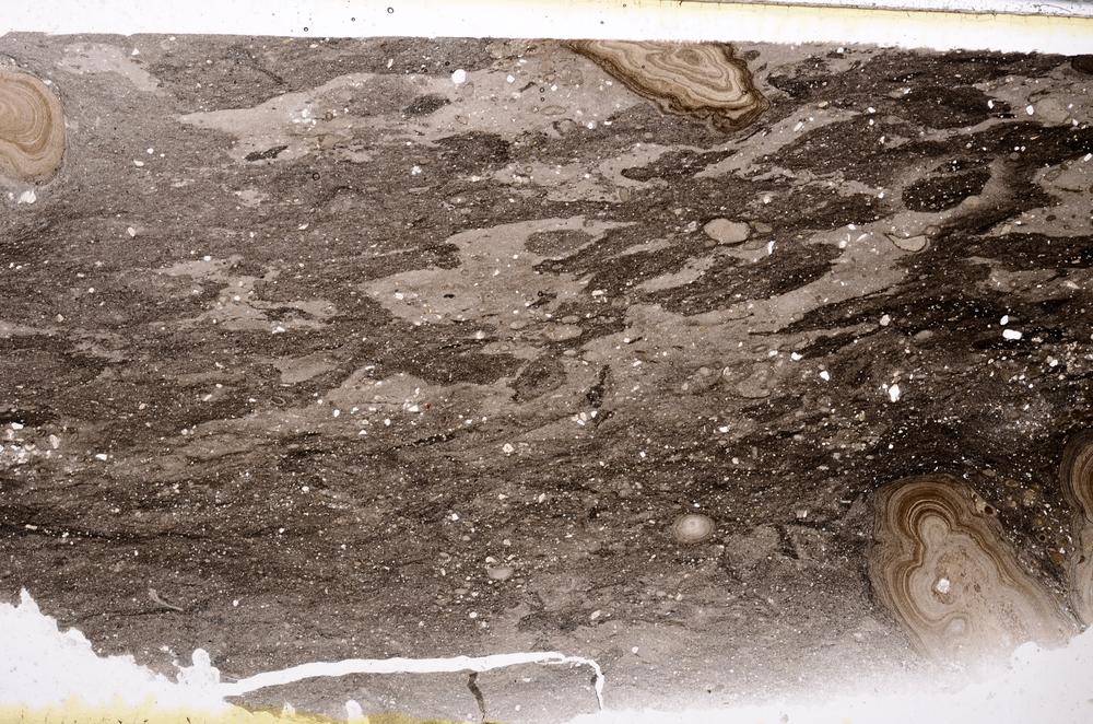 Plane Polarized, E50439/C