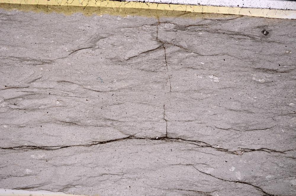 Plane Polarized, E50481