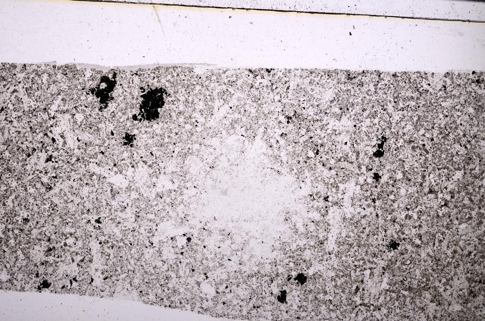 Plane Polarized, E50515