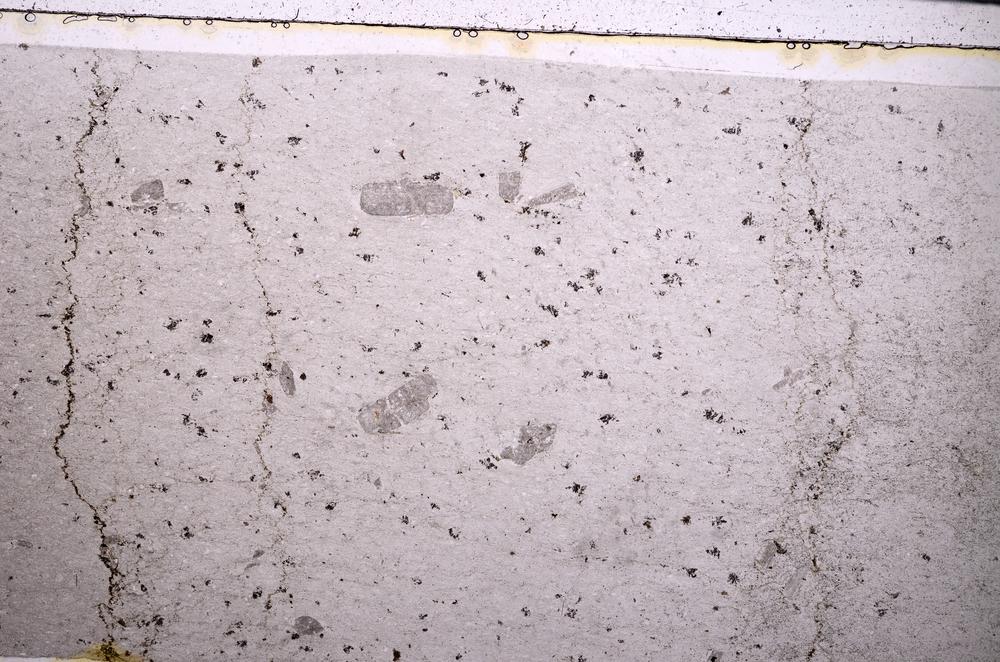 Plane Polarized, E50566